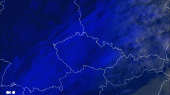 animace_druzice